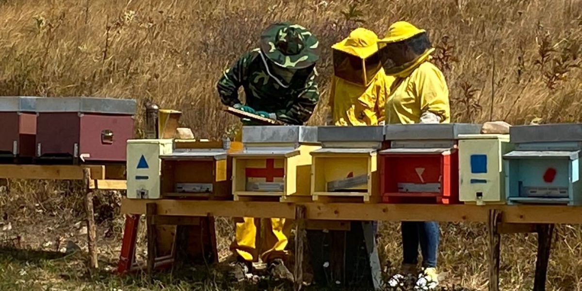 Apicoltura Giordano visita apiario Salva le api adotta un'arnia